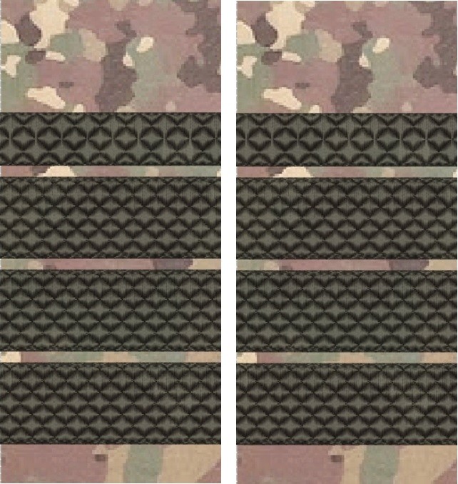 GRADE PLUTONIER ADJUTANT PRINCIPAL COMBAT FORTE TERESTRE